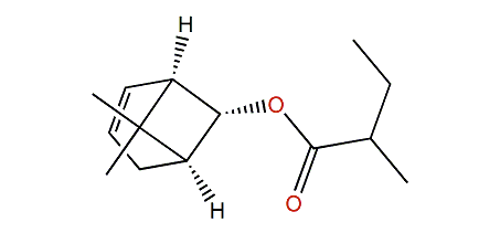 cis-Chrysanthenyl butanoate